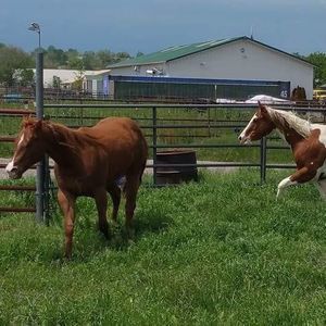 Meet your Posher, Alicia